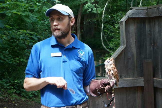 WNC Nature Center - Animal Encounter